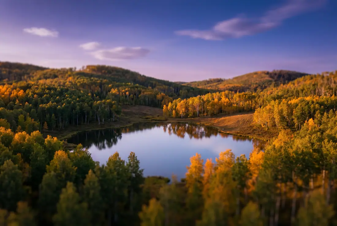 Collines ondulées de trembles qui virent à l'or autour d'un petit lac calme